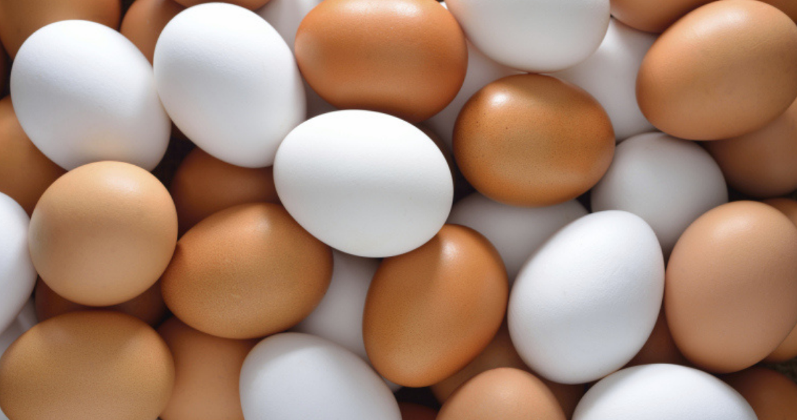 Aperçu du marché mondial de Poudre d'œuf en 2023