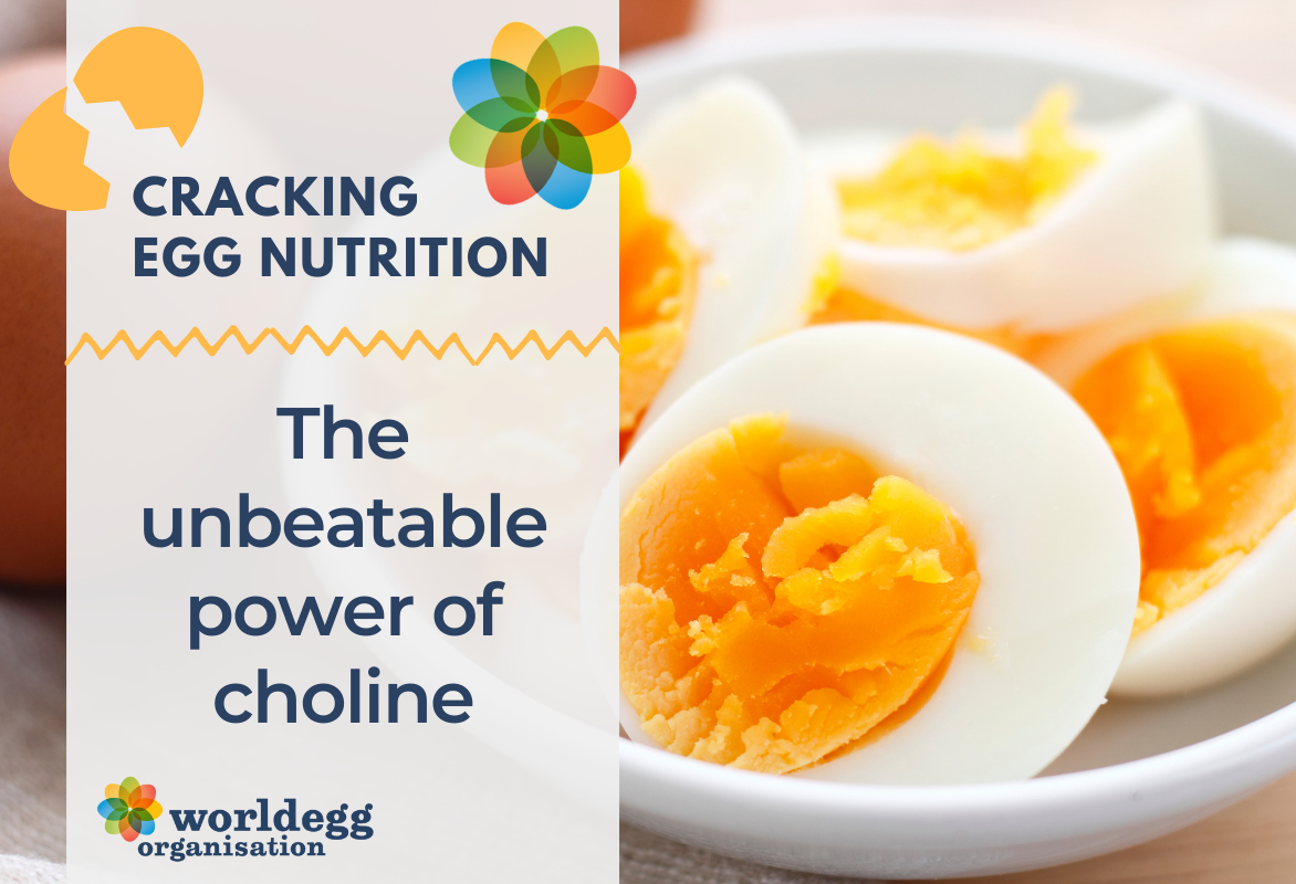 Cracking Egg Nutrition: непревзойденная сила холина | Международная  комиссия по яйцам